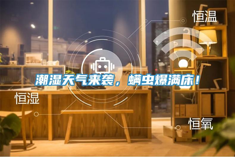 潮湿天气来袭，螨虫爆满床！