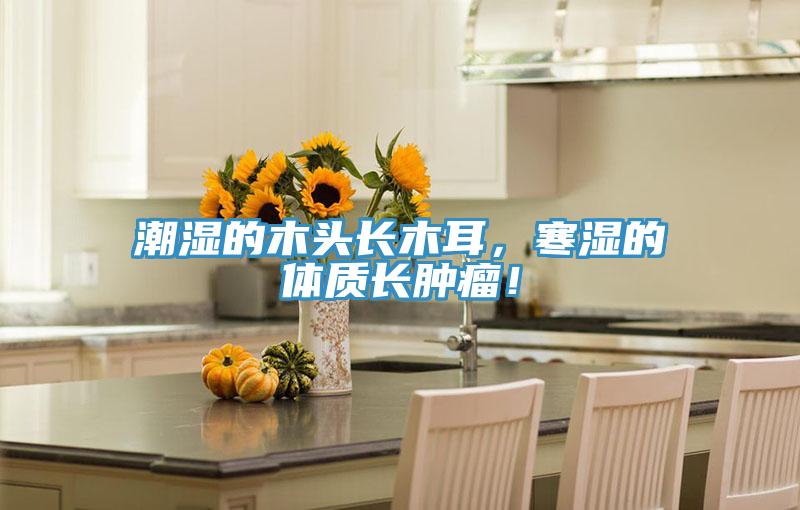 潮湿的木头长木耳，寒湿的体质长肿瘤！
