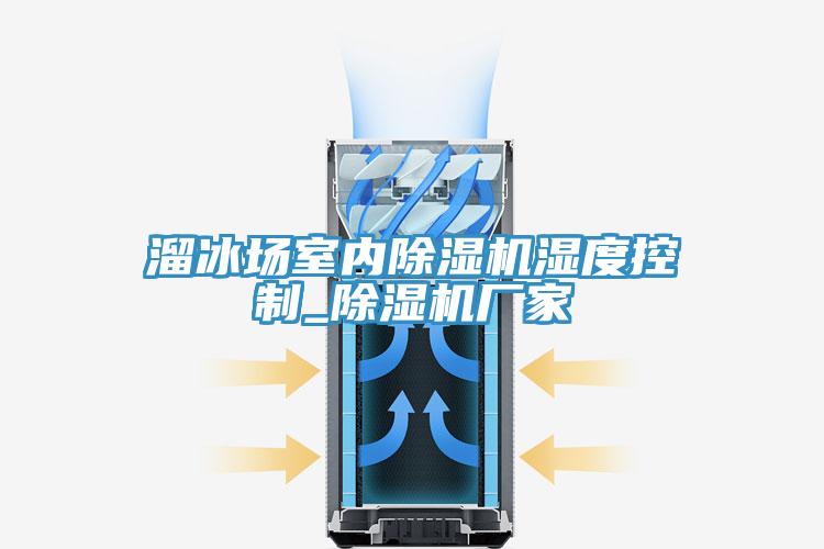 溜冰场室内除湿机湿度控制_除湿机厂家