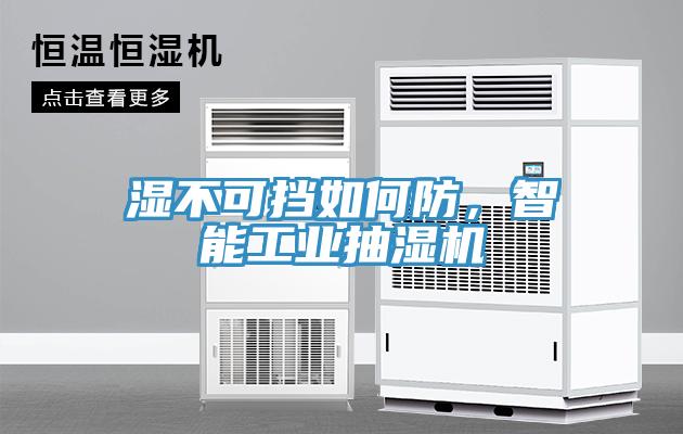 湿不可挡如何防，智能工业抽湿机
