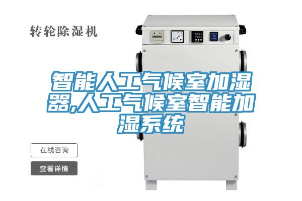 智能人工气候室加湿器,人工气候室智能加湿系统