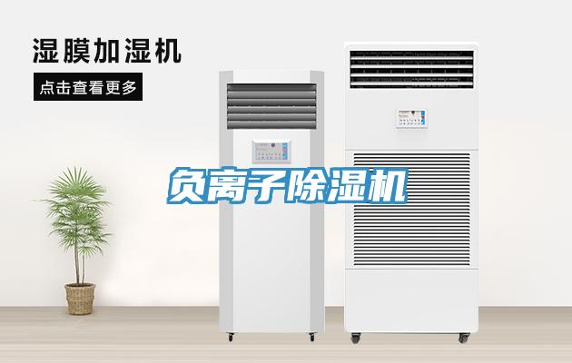 负离子除湿机