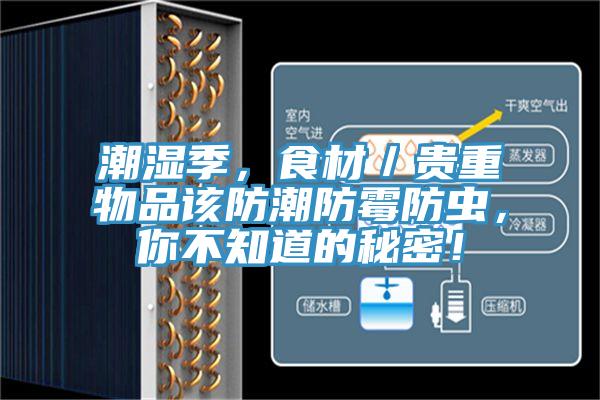 潮湿季，食材／贵重物品该防潮防霉防虫，你不知道的秘密！