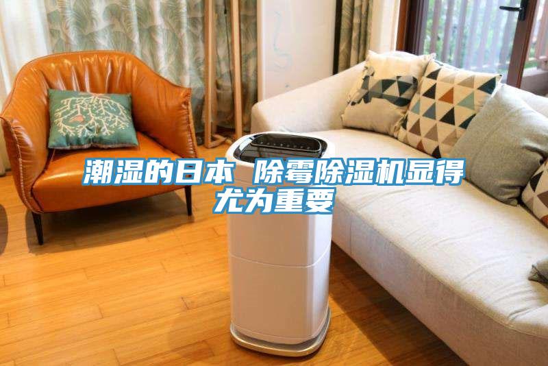 潮湿的日本 除霉除湿机显得尤为重要