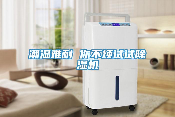 潮湿难耐 你不烦试试除湿机