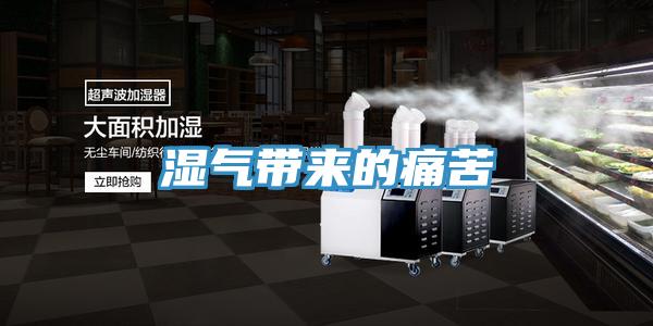 湿气带来的痛苦