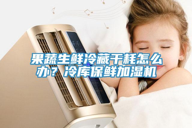果蔬生鲜冷藏干耗怎么办？冷库保鲜加湿机