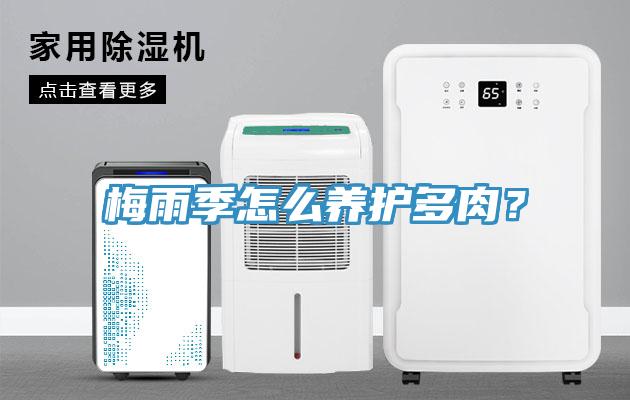 梅雨季怎么养护多肉？