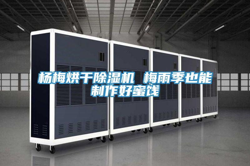 杨梅烘干除湿机 梅雨季也能制作好蜜饯