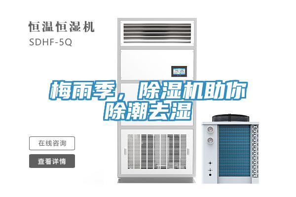 梅雨季，除湿机助你除潮去湿