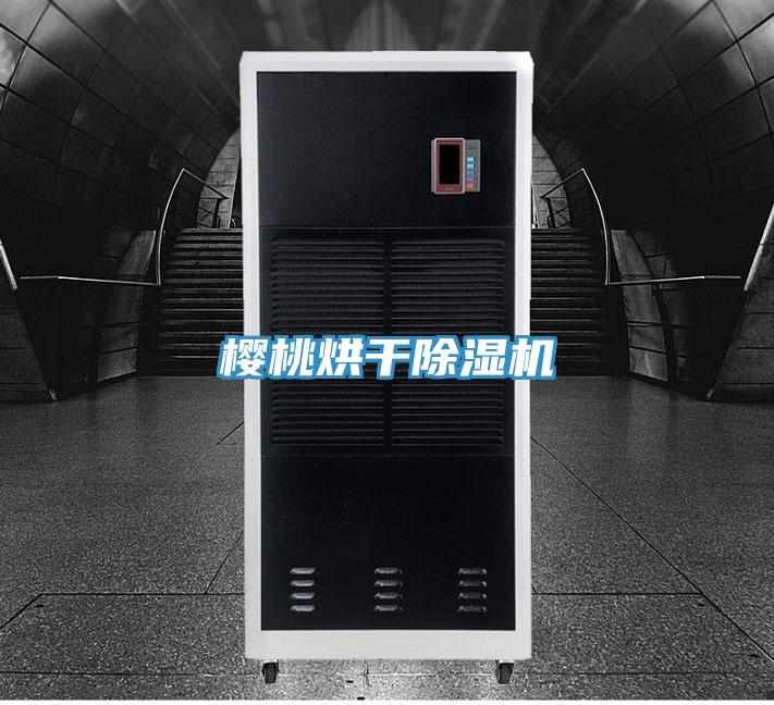 樱桃烘干除湿机