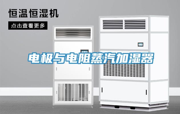 电极与电阻蒸汽加湿器
