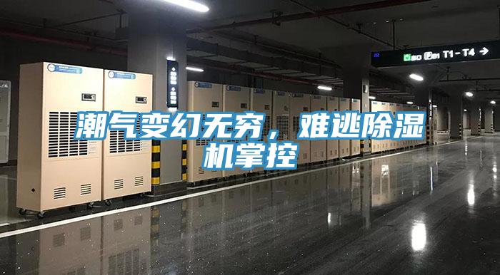 潮气变幻无穷，难逃除湿机掌控