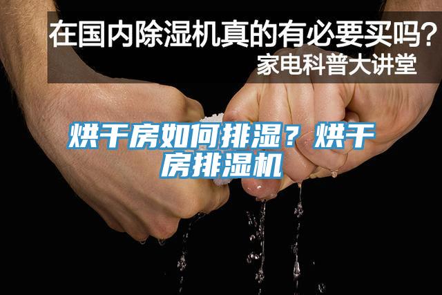 烘干房如何排湿？烘干房排湿机
