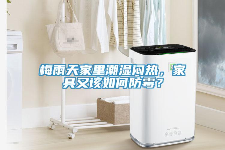 梅雨天家里潮湿闷热，家具又该如何防霉？