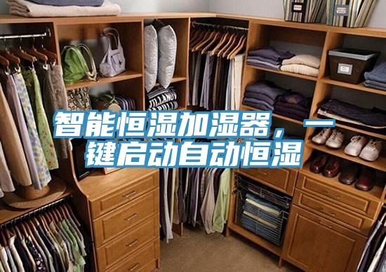 智能恒湿加湿器,一键启动自动恒湿