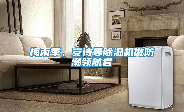 梅雨季,安诗曼除湿机做防潮领航者