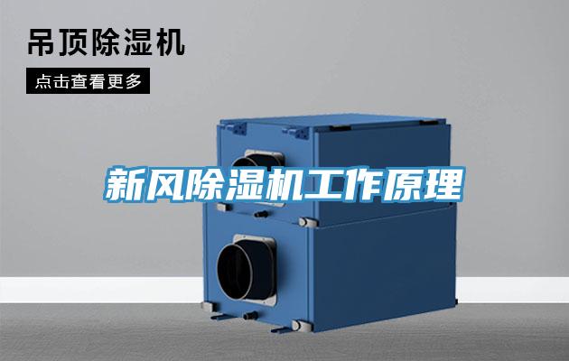 新风除湿机工作原理