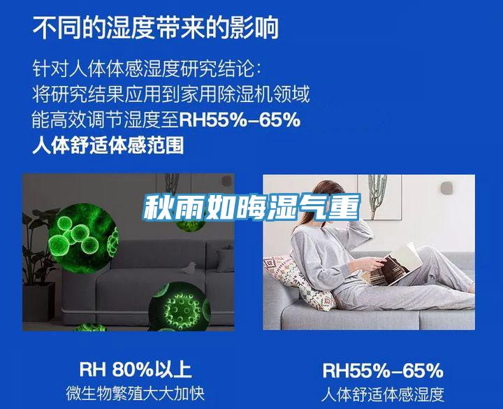 秋雨如晦湿气重