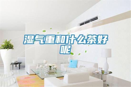 湿气重和什么茶好呢
