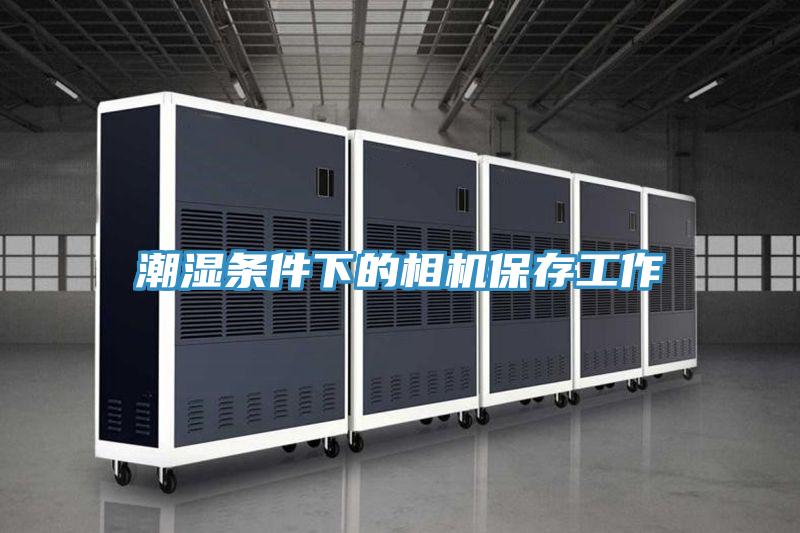 潮湿条件下的相机保存工作