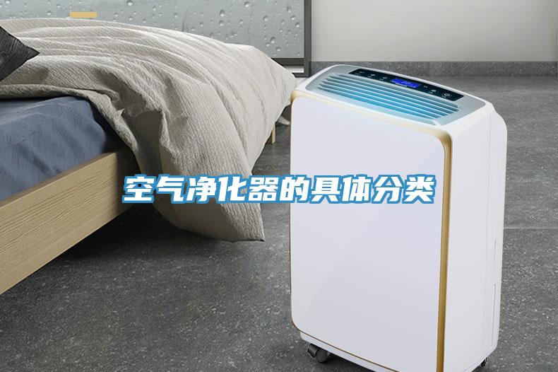 空气净化器的具体分类