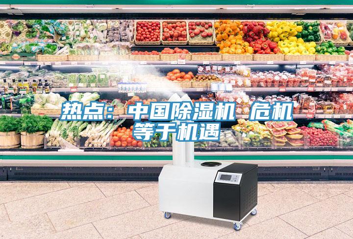 热点：中国除湿机 危机等于机遇