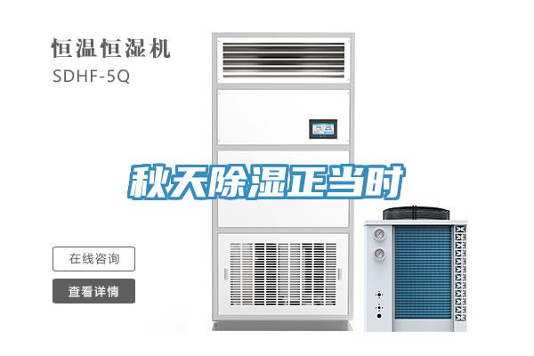 秋天除湿正当时
