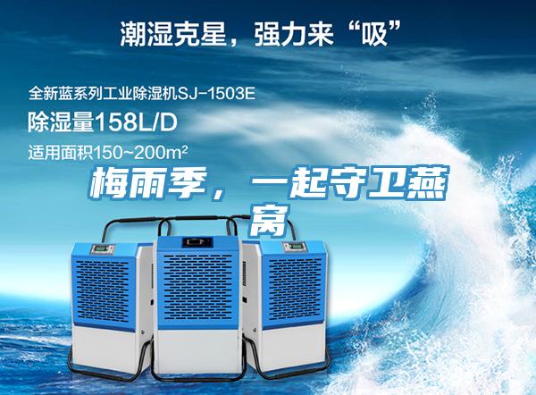 梅雨季，一起守卫燕窝
