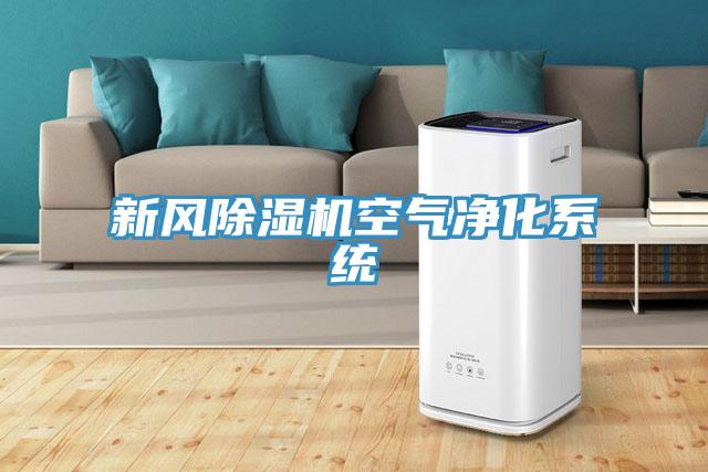 新风除湿机空气净化系统