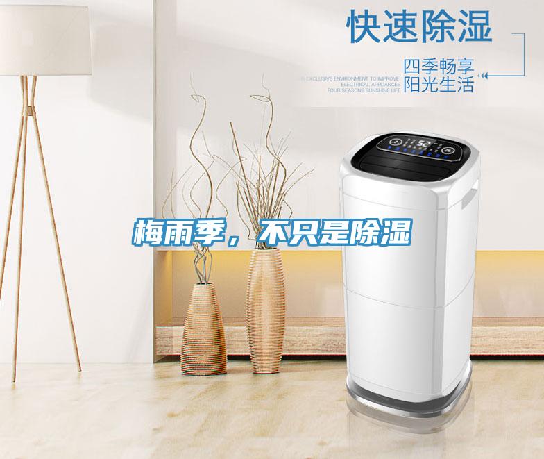梅雨季，不只是除湿