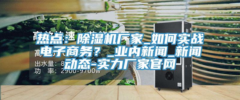 热点：除湿机厂家_如何实战电子商务？_业内新闻_新闻动态-实力厂家官网