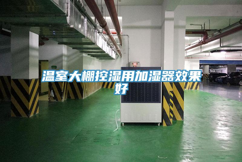 温室大棚控湿用加湿器效果好