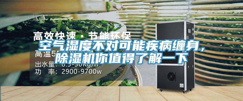 空气湿度不对可能疾病缠身，除湿机你值得了解一下