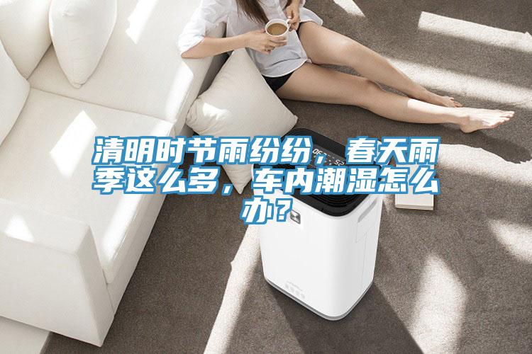 清明时节雨纷纷，春天雨季这么多，车内潮湿怎么办？