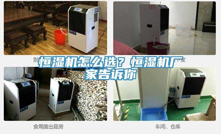 恒湿机怎么选？恒湿机厂家告诉你