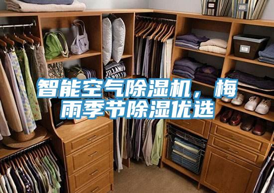 智能空气除湿机,梅雨季节除湿优选