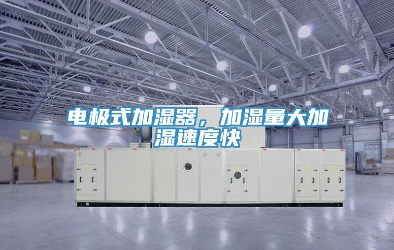 电极式加湿器，加湿量大加湿速度快