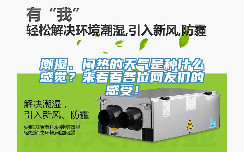 潮湿、闷热的天气是种什么感觉？来看看各位网友们的感受！