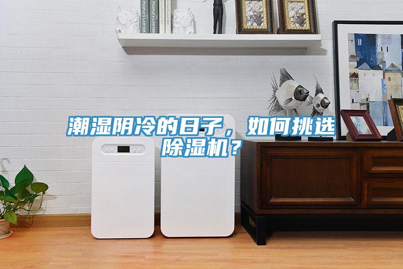 潮湿阴冷的日子，如何挑选除湿机？