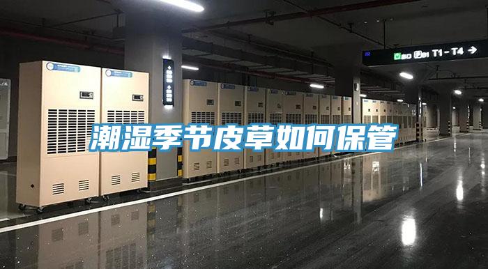 潮湿季节皮草如何保管