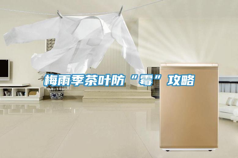 梅雨季茶叶防“霉”攻略