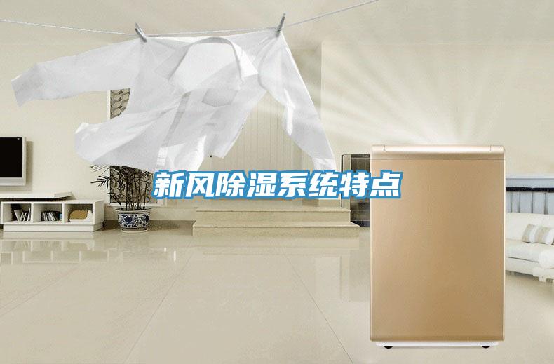 新风除湿系统特点