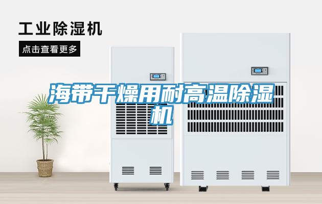 海带干燥用耐高温除湿机