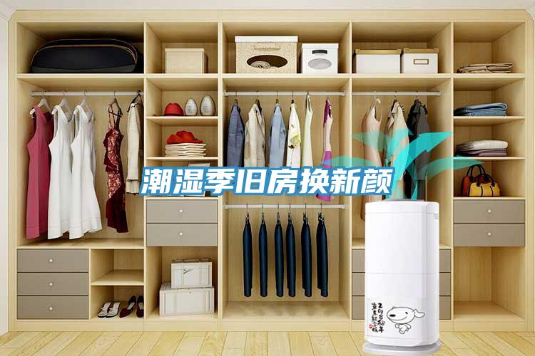 潮湿季旧房换新颜