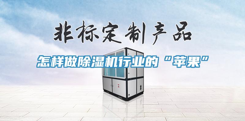 怎样做除湿机行业的“苹果”