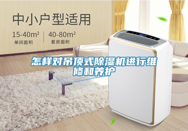 怎样对吊顶式除湿机进行维修和养护