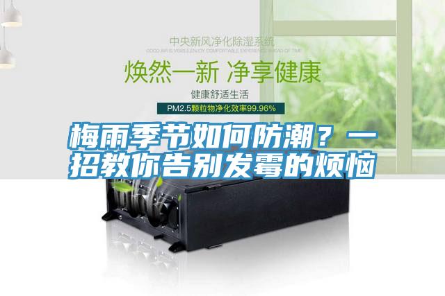梅雨季节如何防潮？一招教你告别发霉的烦恼