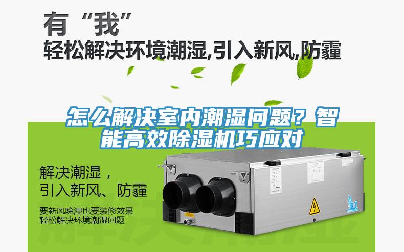 怎么解决室内潮湿问题？智能高效除湿机巧应对