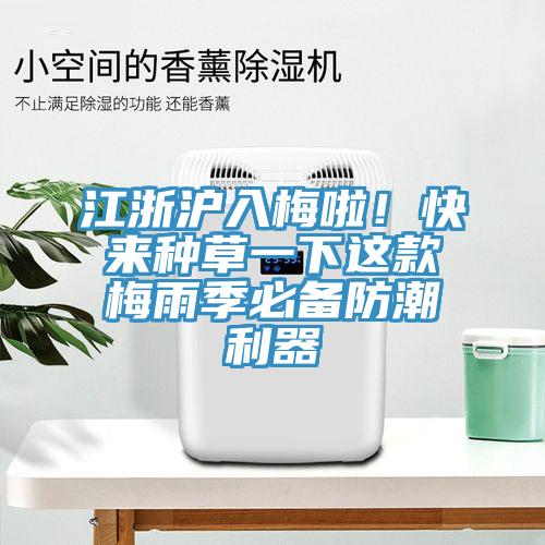 江浙沪入梅啦！快来种草一下这款梅雨季必备防潮利器